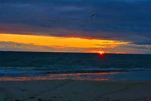 Moore River Moore River