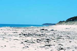 Moore River Moore River