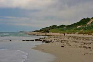 Moore River Moore River