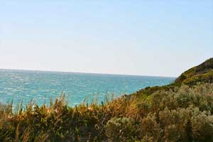 Moore River Moore River