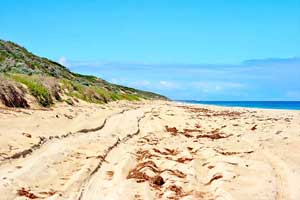 Moore River Moore River