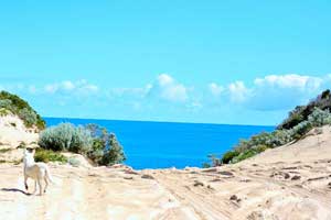 Moore River Moore River