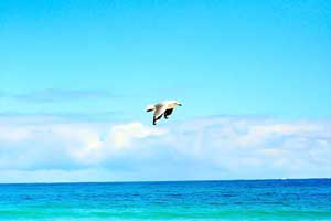 Moore River Moore River